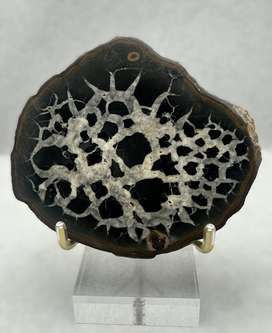 Septarian Stone