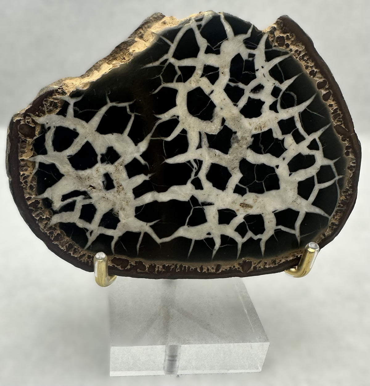 Septarian Stone