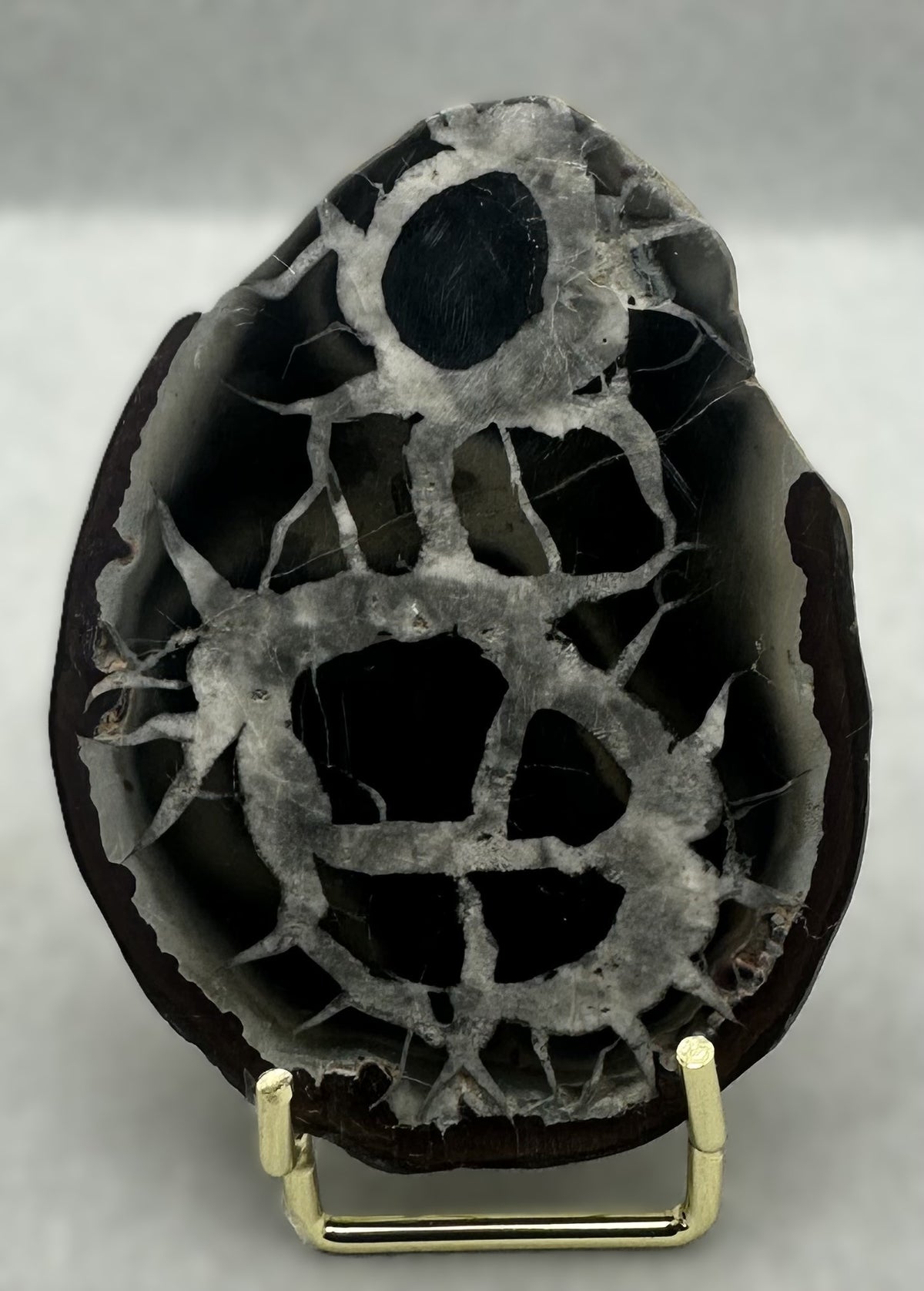 Septarian Stone