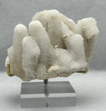 Cactus Quartz Cluster