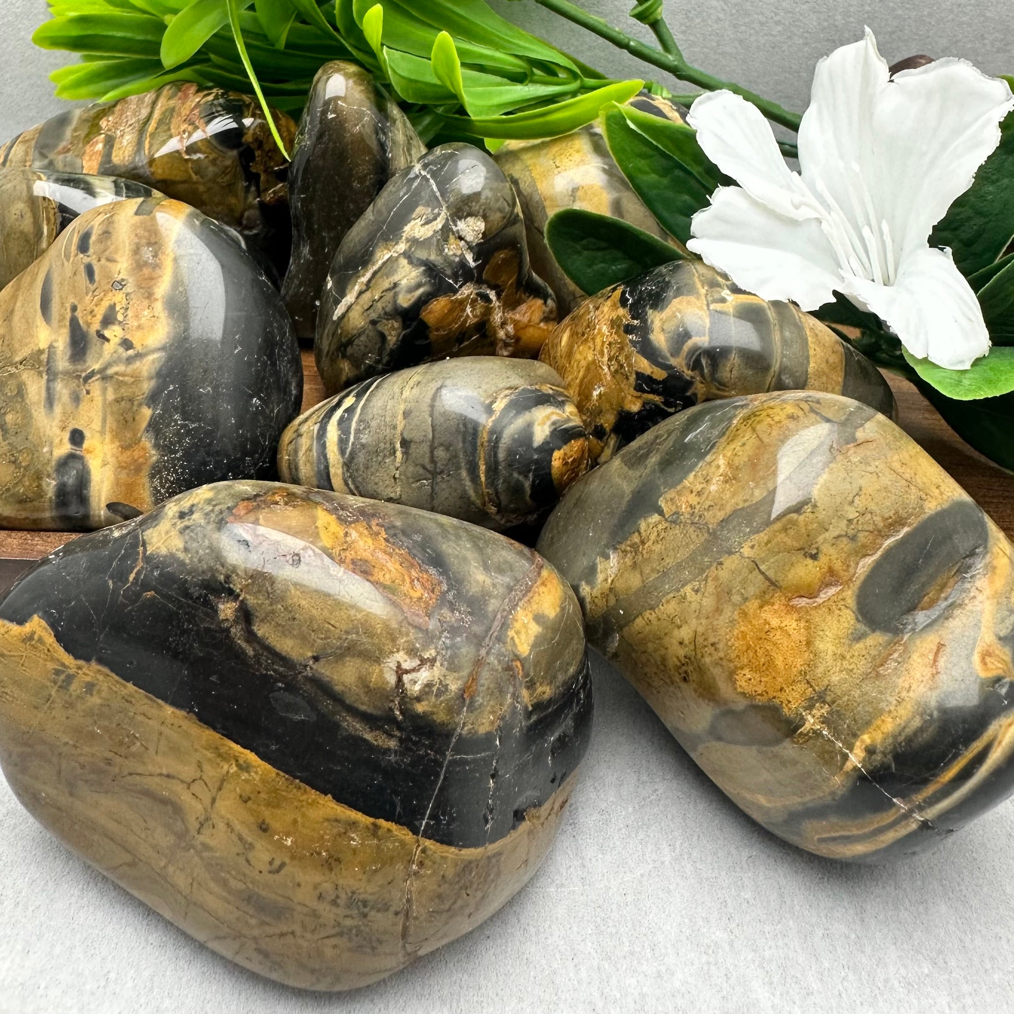 Banded Onyx Polished Stones