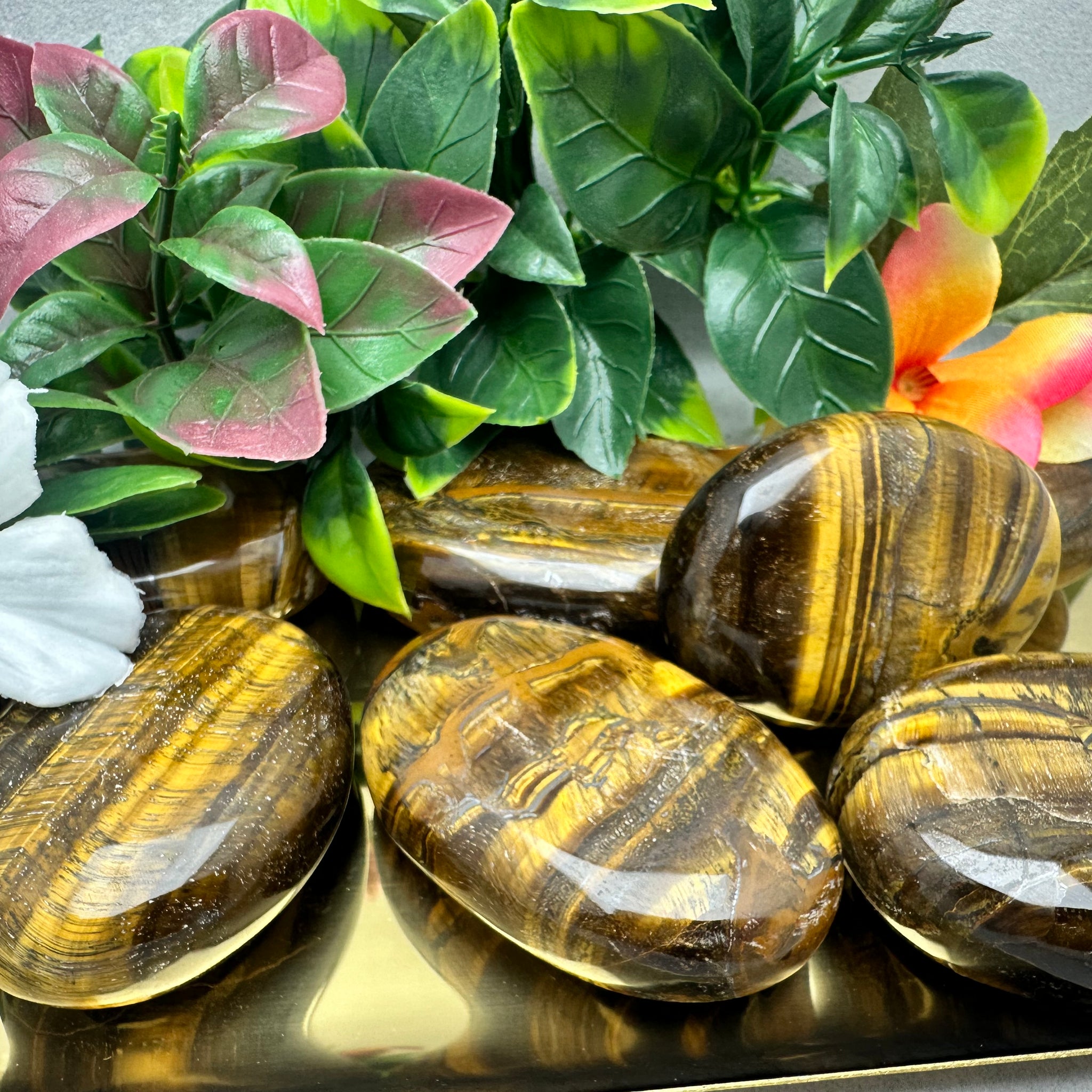 Tiger Eye Palm Stone