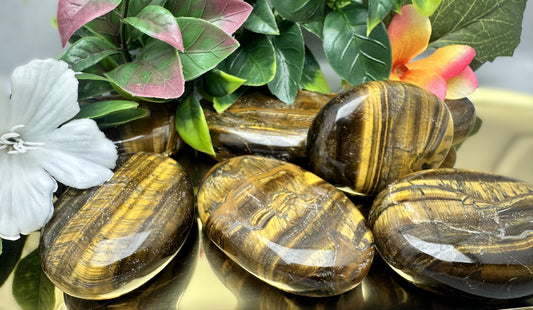 Tiger Eye Palm Stone