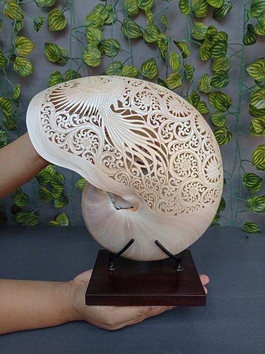 Phoenix Carved Pearl Nautilus Shell