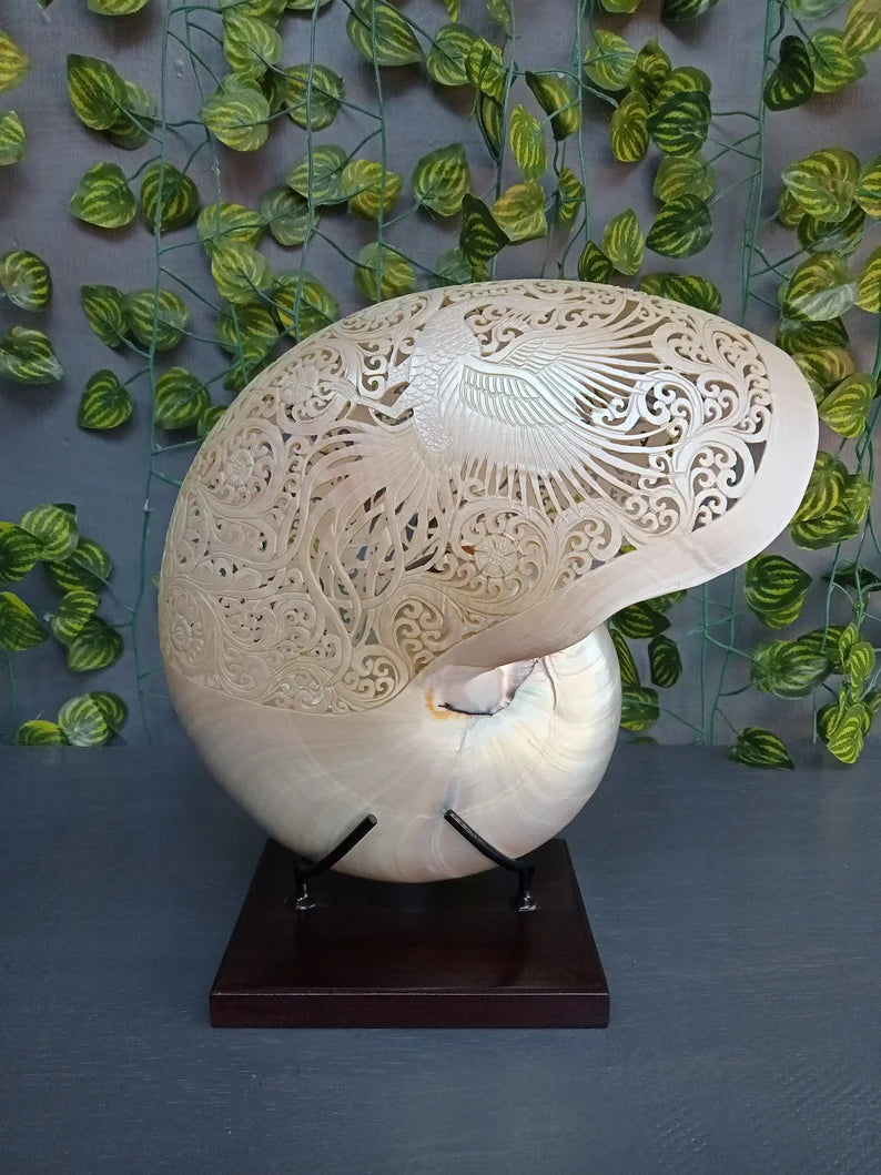 Phoenix Carved Pearl Nautilus Shell