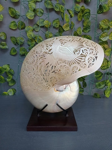 Phoenix Carved Pearl Nautilus Shell