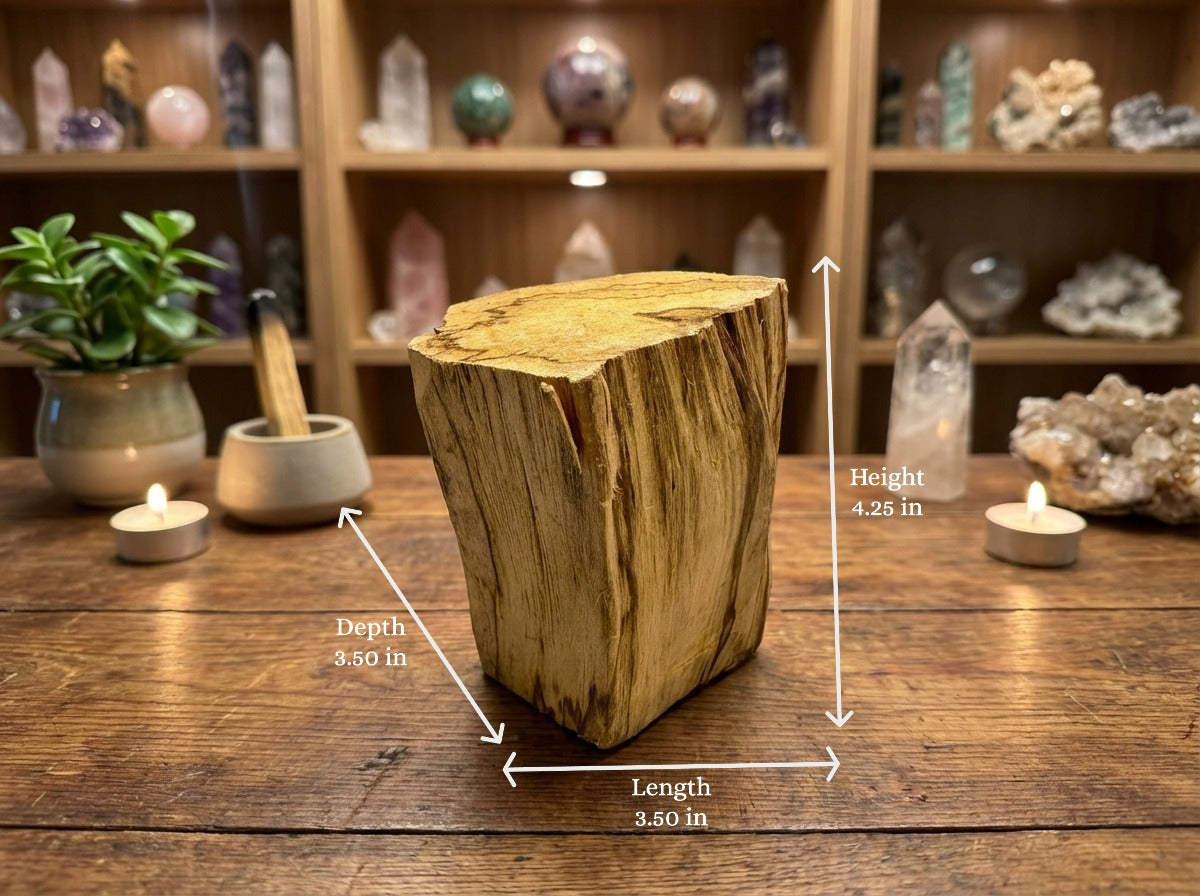 Peruvian Palo Santo Trunks