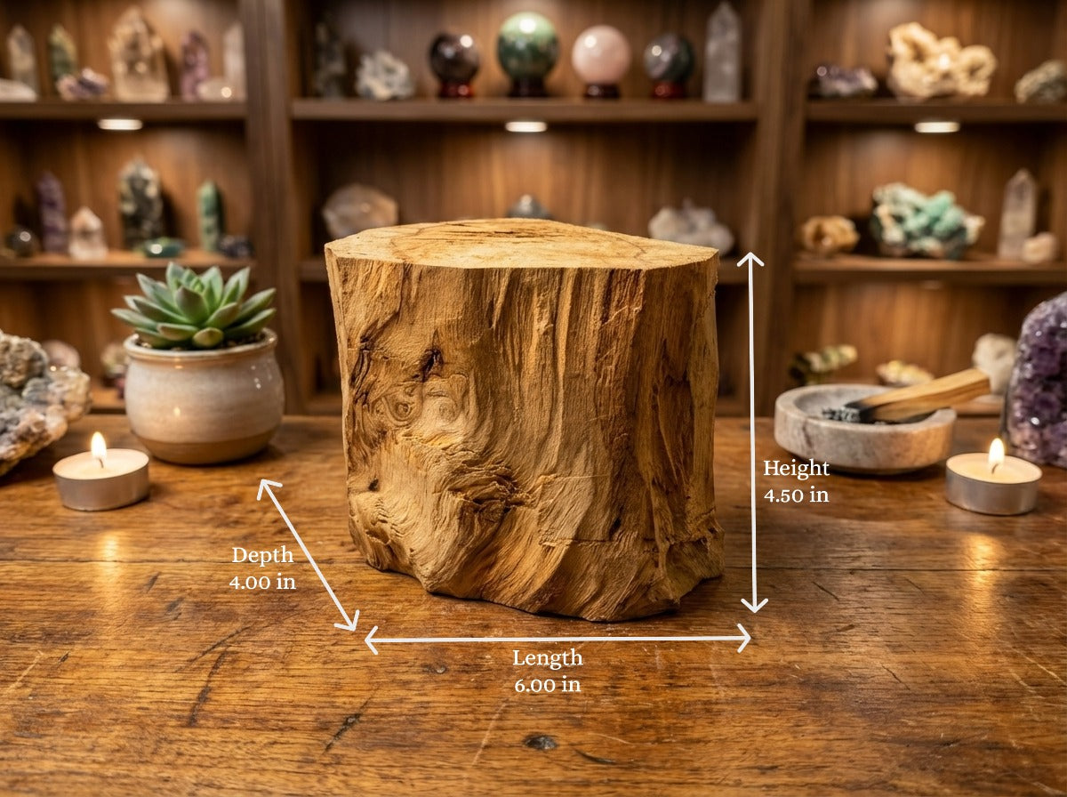 Peruvian Palo Santo Trunks