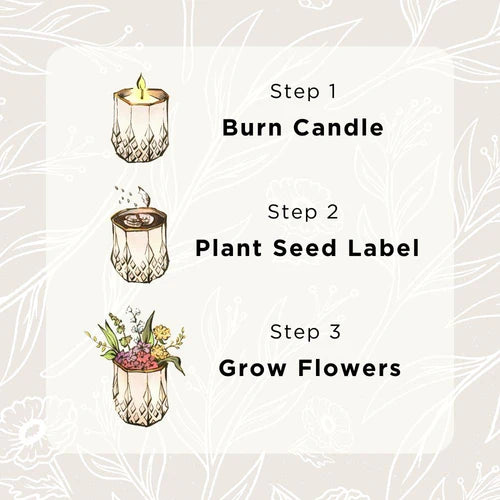Growing Soy Wax Candle