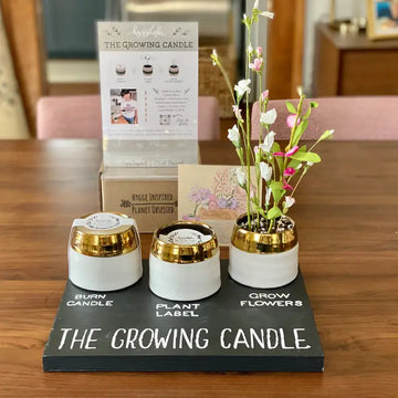 Growing Soy Wax Candle
