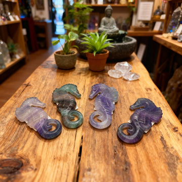 Rainbow Fluorite Seahorse Carving