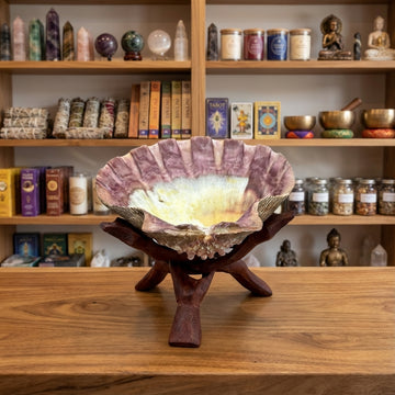 Lion Paw Ritual Shell & Cobra Stand Set
