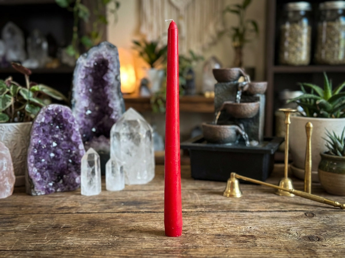 Velas cónicas surtidas de 10" (paquete de 12)