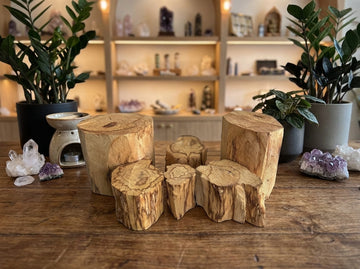 Peruvian Palo Santo Trunks