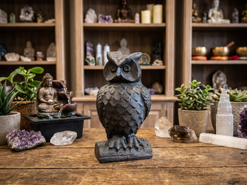 Shungite Owl Carving Figurine