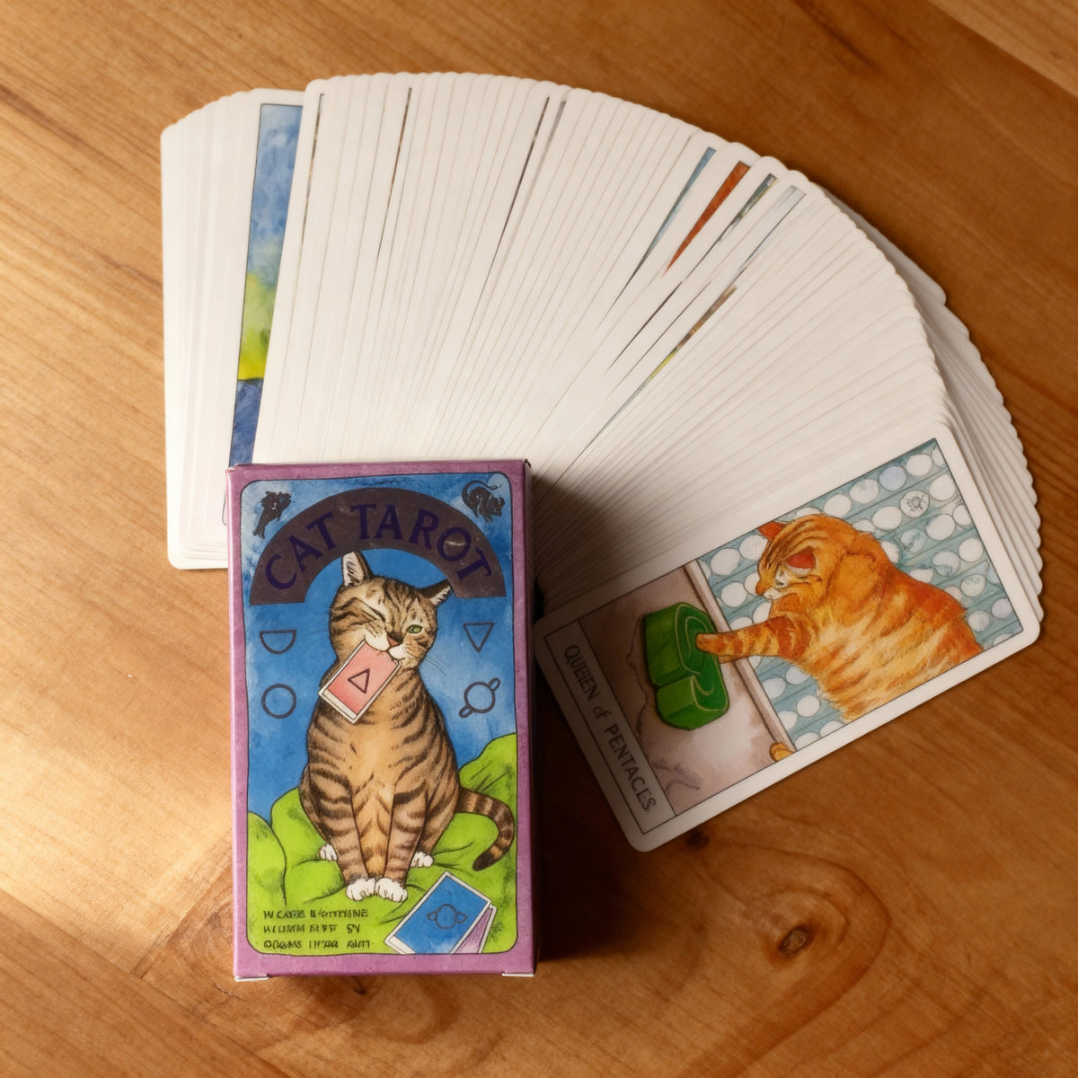 Cat Tarot